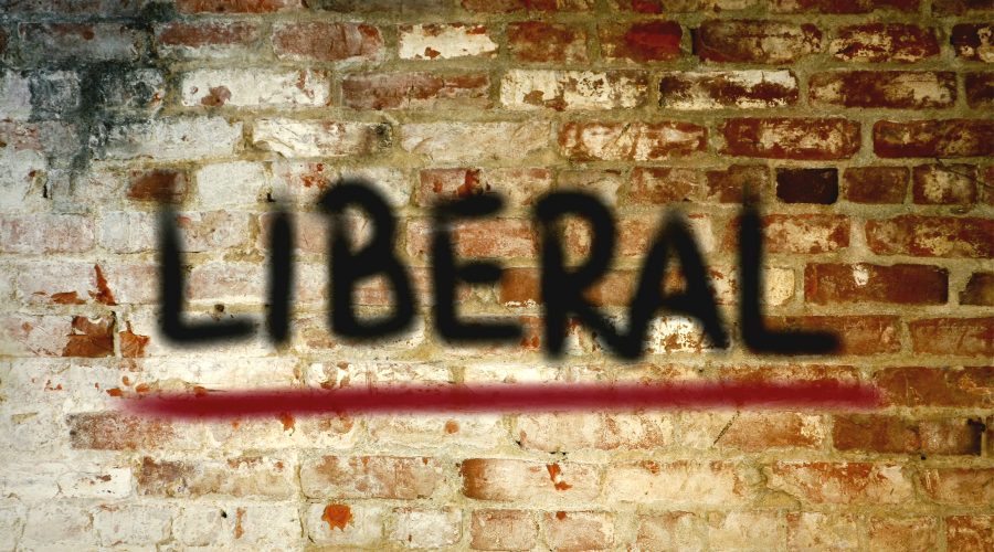 Home The Bronx Daily | Bronx.com