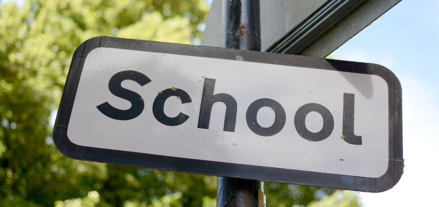 The Bronx Daily | Bronx.com