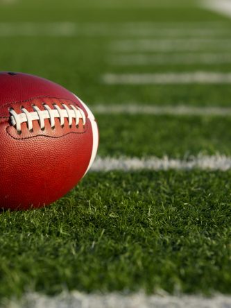 Home The Bronx Daily | Bronx.com