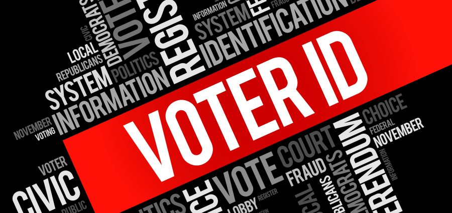 The Bronx Daily | Bronx.com