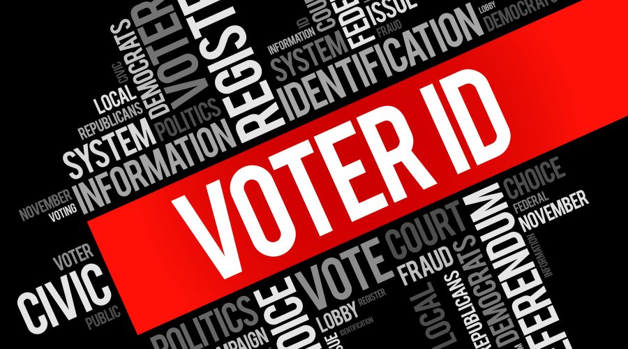 Home The Bronx Daily | Bronx.com