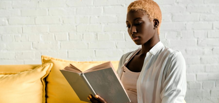 The Bronx Daily | Bronx.com