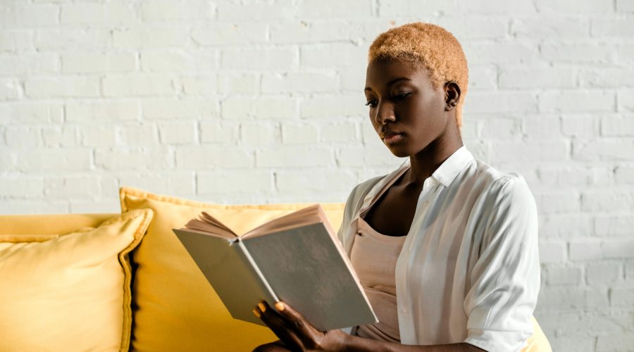 The Bronx Daily | Bronx.com