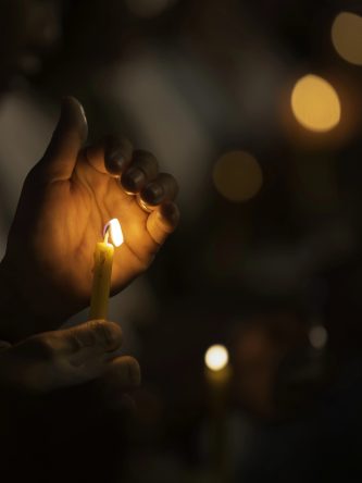 Home The Bronx Daily | Bronx.com