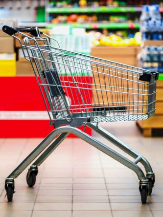 The Bronx Daily | Bronx.com