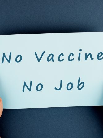 Home The Bronx Daily | Bronx.com