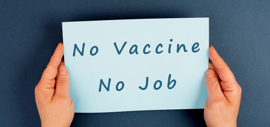 The Bronx Daily | Bronx.com