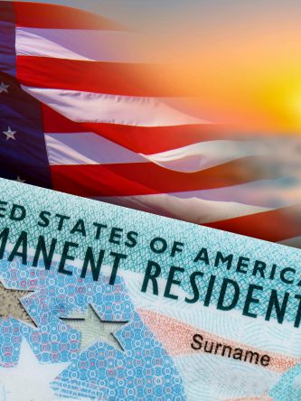 The Bronx Daily | Bronx.com