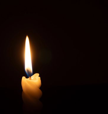 Home The Bronx Daily | Bronx.com