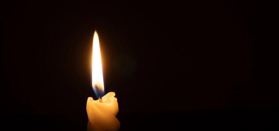 The Bronx Daily | Bronx.com