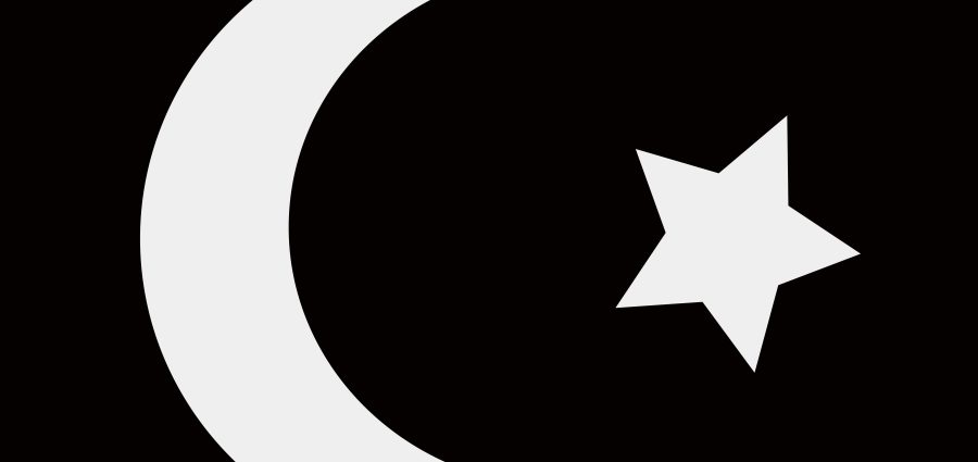 The Bronx Daily | Bronx.com