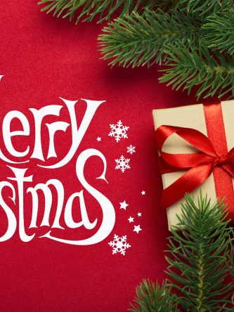 The Bronx Daily | Bronx.com