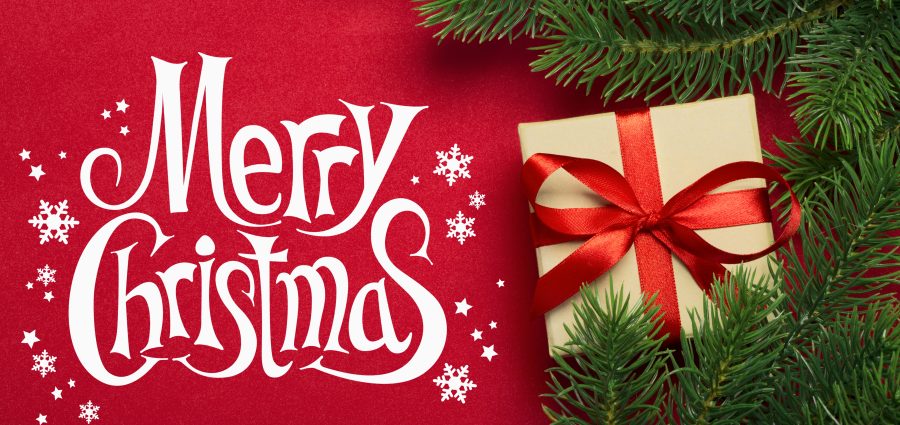 The Bronx Daily | Bronx.com