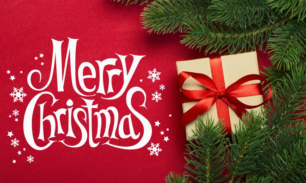 The Bronx Daily | Bronx.com