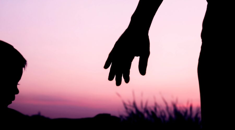 The Bronx Daily | Bronx.com