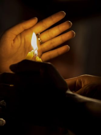 The Bronx Daily | Bronx.com