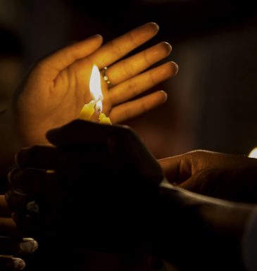 Home The Bronx Daily | Bronx.com