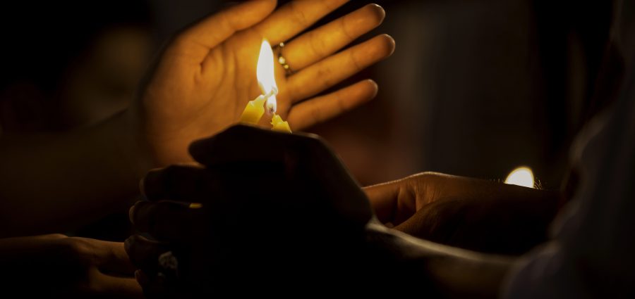 The Bronx Daily | Bronx.com