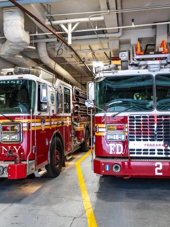 Home The Bronx Daily | Bronx.com