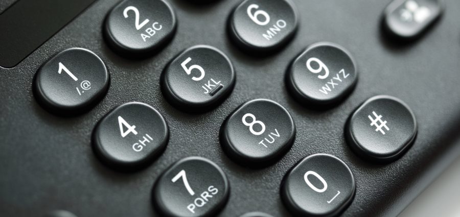 The Bronx Daily | Bronx.com