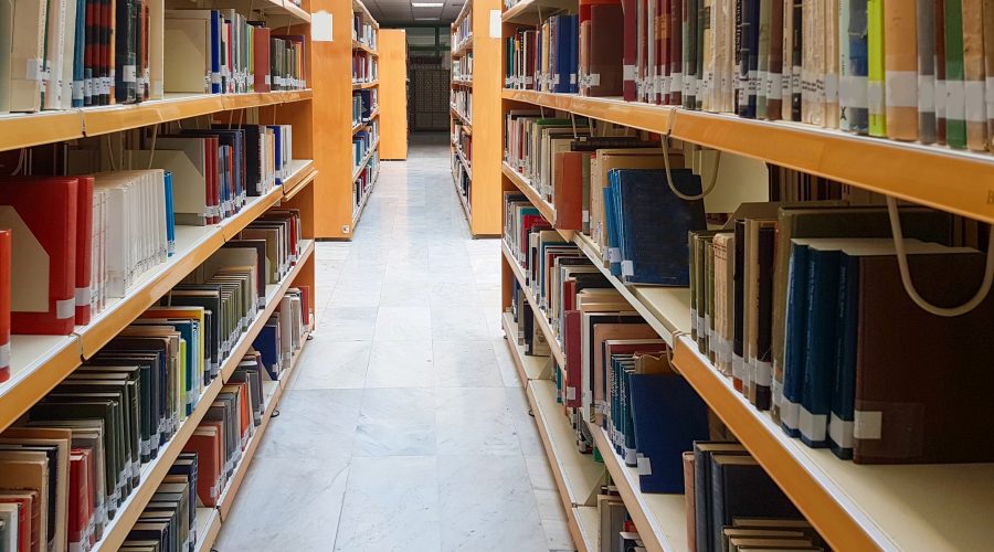 Home The Bronx Daily | Bronx.com