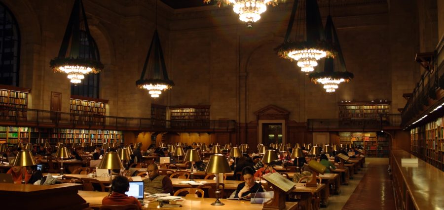 The Bronx Daily | Bronx.com