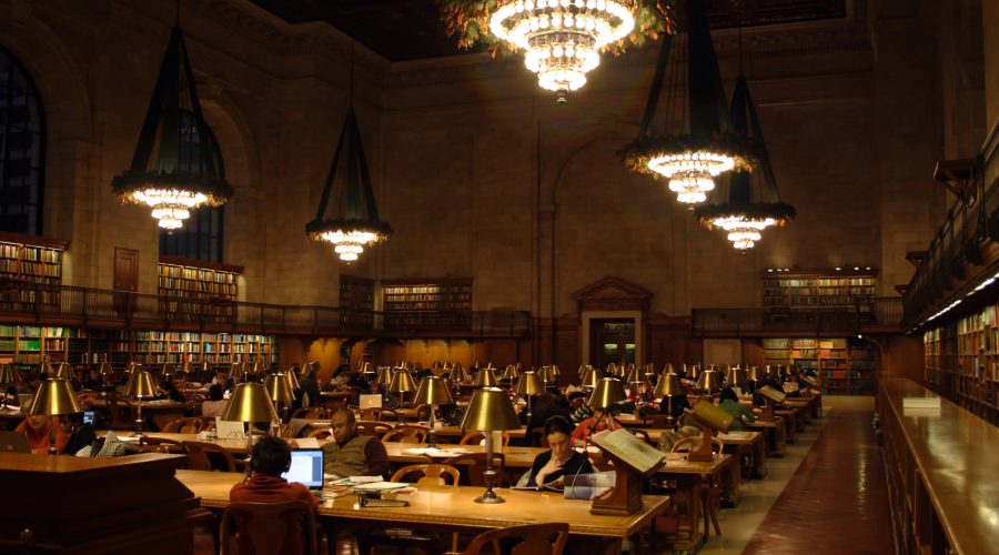 Home The Bronx Daily | Bronx.com