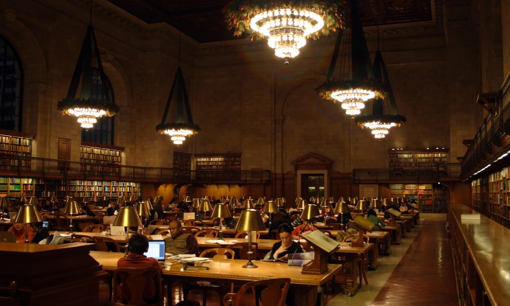 Home The Bronx Daily | Bronx.com