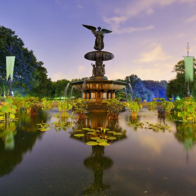 Tricia Shimamura Appointed NYC Parks Commissioner