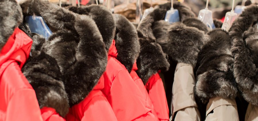 The Bronx Daily | Bronx.com