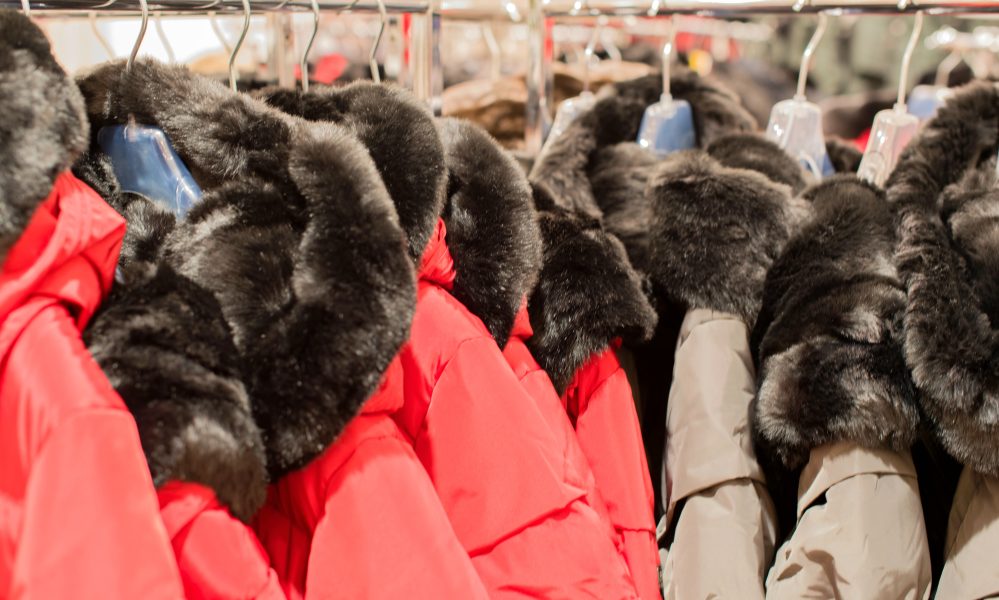 The Bronx Daily | Bronx.com