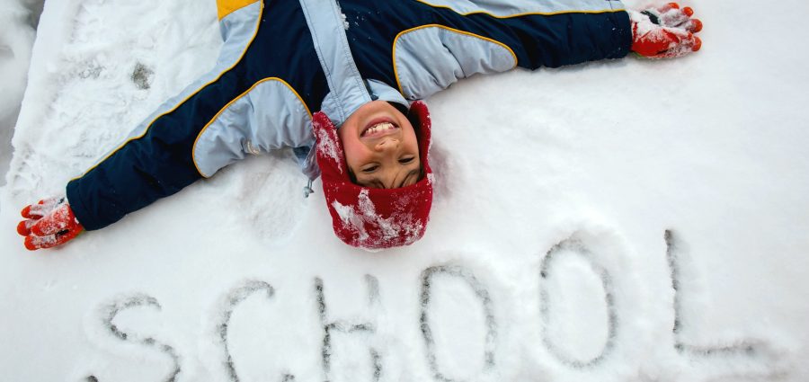 The Bronx Daily | Bronx.com