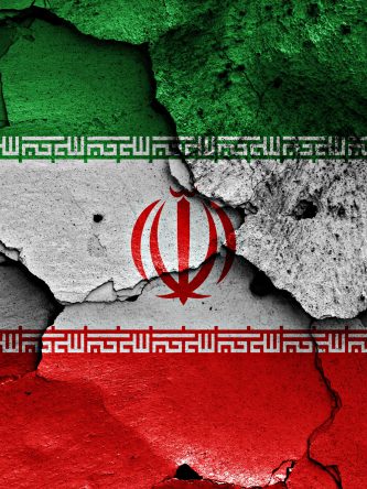 The Bronx Daily | Bronx.com