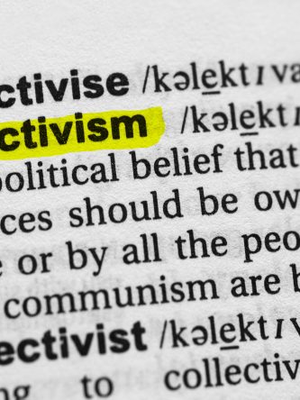 The Bronx Daily | Bronx.com