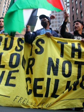 The Bronx Daily | Bronx.com