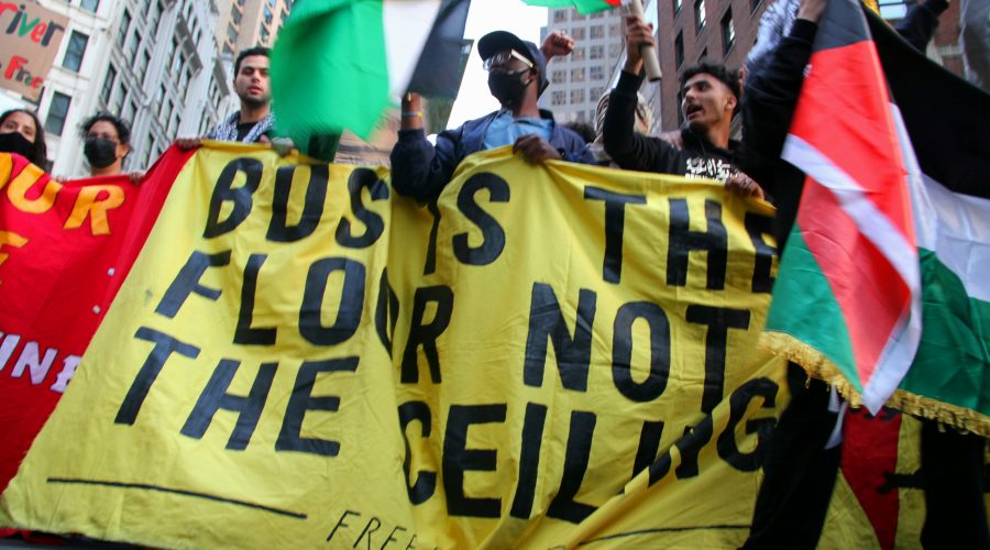 The Bronx Daily | Bronx.com