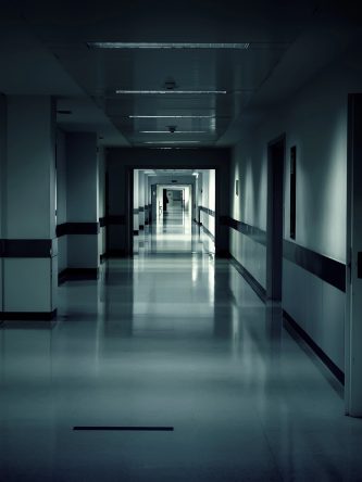 The Bronx Daily | Bronx.com