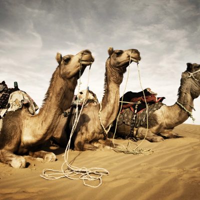 Qatar Paid London PR Firm To Scrub Wikipedia