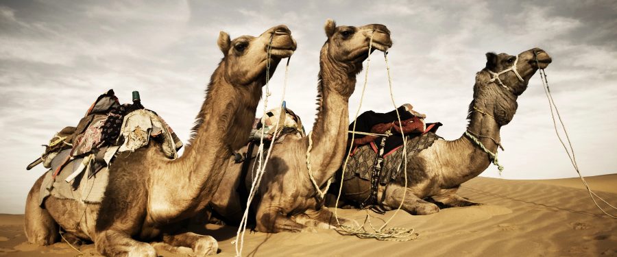 Qatar Paid London PR Firm To Scrub Wikipedia