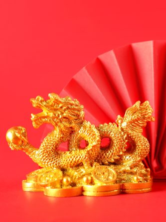 The Bronx Daily | Bronx.com