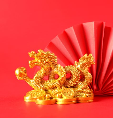 The Bronx Daily | Bronx.com