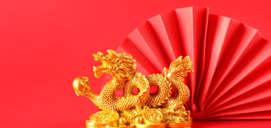 The Bronx Daily | Bronx.com