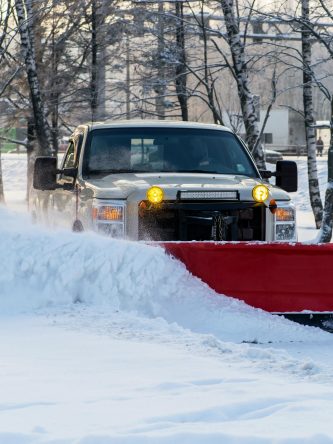 Home The Bronx Daily | Bronx.com