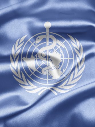 Home The Bronx Daily | Bronx.com