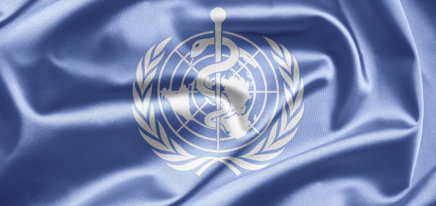 The Bronx Daily | Bronx.com