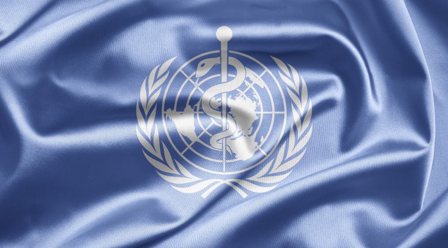 The Bronx Daily | Bronx.com