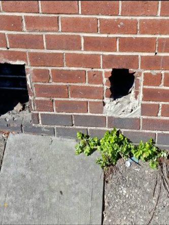 The Bronx Daily | Bronx.com