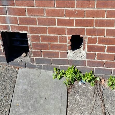 The Bronx Daily | Bronx.com