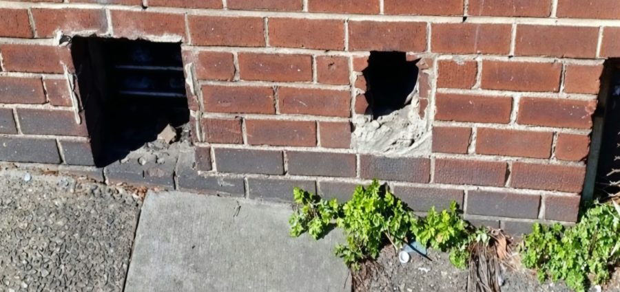 The Bronx Daily | Bronx.com