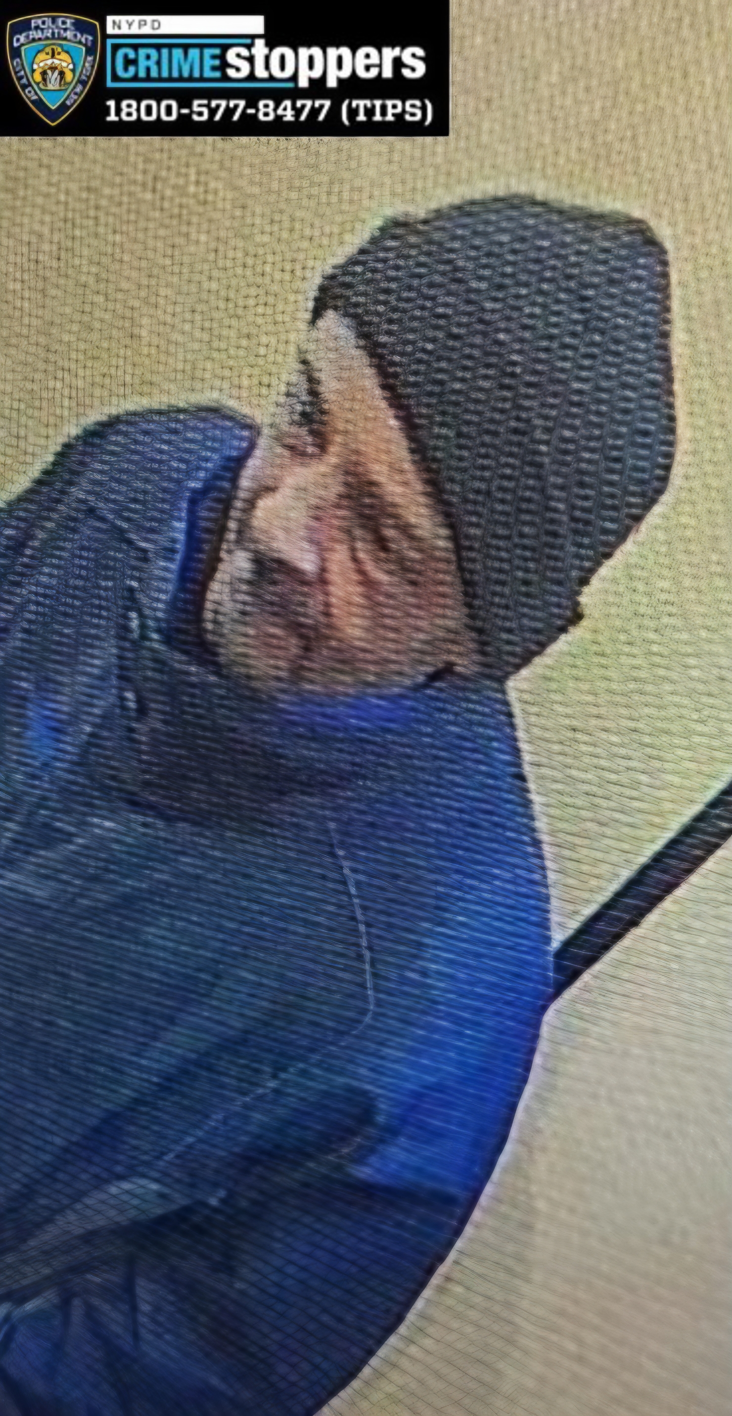 Louis Rosario, 71, Missing